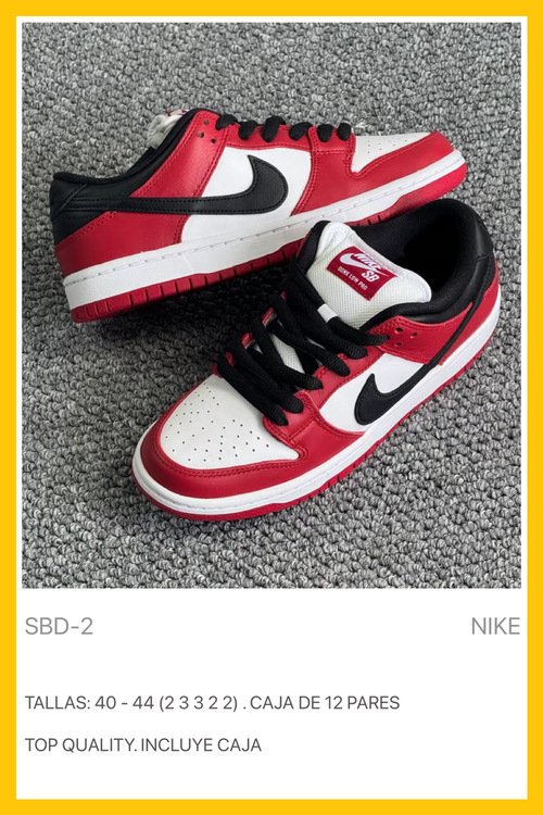 NIKE SB DUNK-Zapato