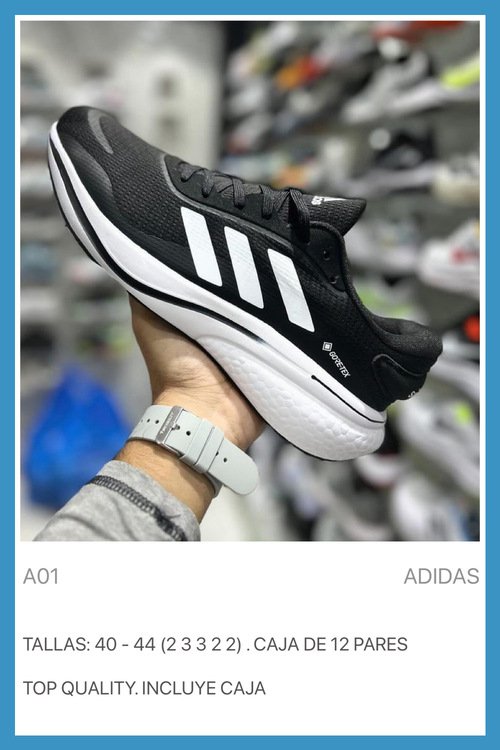 ADIDAS GORE-TEX-Zapato